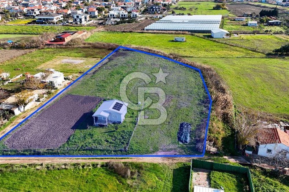 Urla İskele Ağaçlı Yolda Satılık Tarla