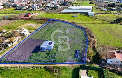 Urla İskele Ağaçlı Yolda Satılık Tarla