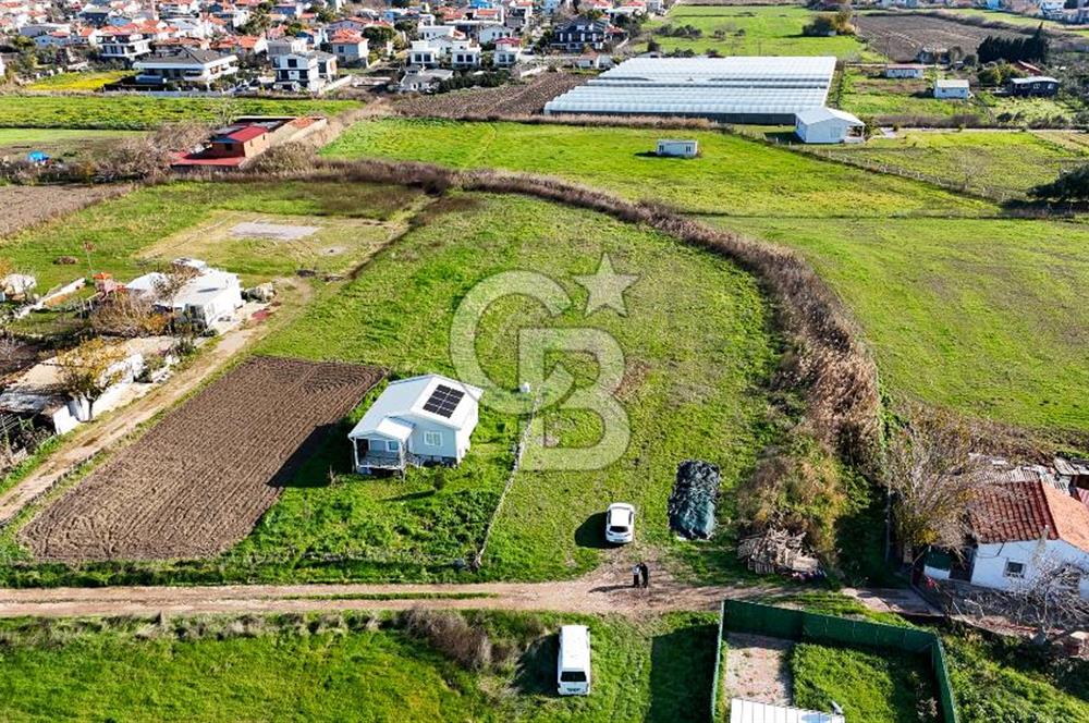 Urla İskele Ağaçlı Yolda Satılık Tarla