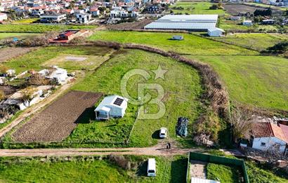 Urla İskele Ağaçlı Yolda Satılık Tarla