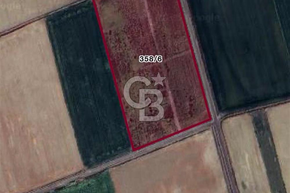 MENEMEN SEYREKTE SATILIK HİSSELİ TARLA