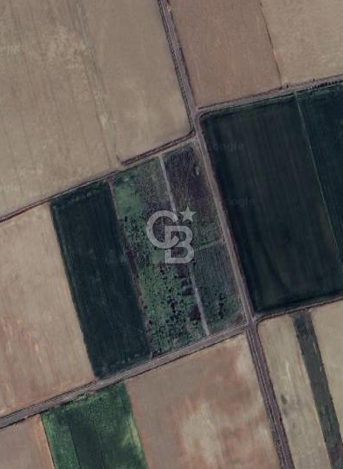 MENEMEN SEYREKTE SATILIK HİSSELİ TARLA