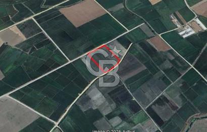 BİGA GÜMÜŞÇAY BELDESİ'NDE SATILIK ÇELTİK TARLASI