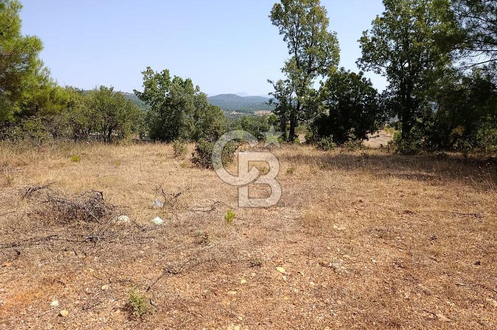 Muğla Yerkesik’te Yatırımlık 515m² Satılık Parsel 