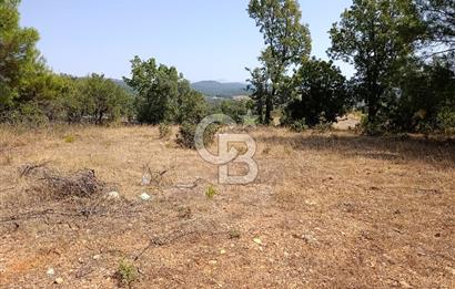 Muğla Yerkesik’te Yatırımlık 515m² Satılık Parsel 