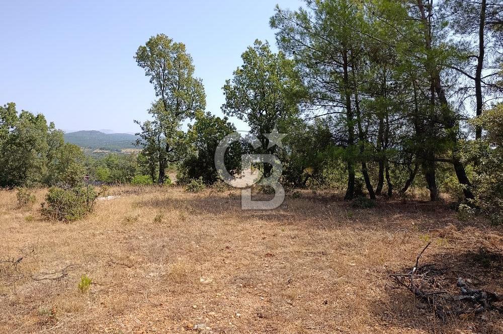 Muğla Yerkesik’te Yatırımlık 515m² Satılık Parsel 