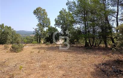 Muğla Yerkesik’te Yatırımlık 515m² Satılık Parsel 