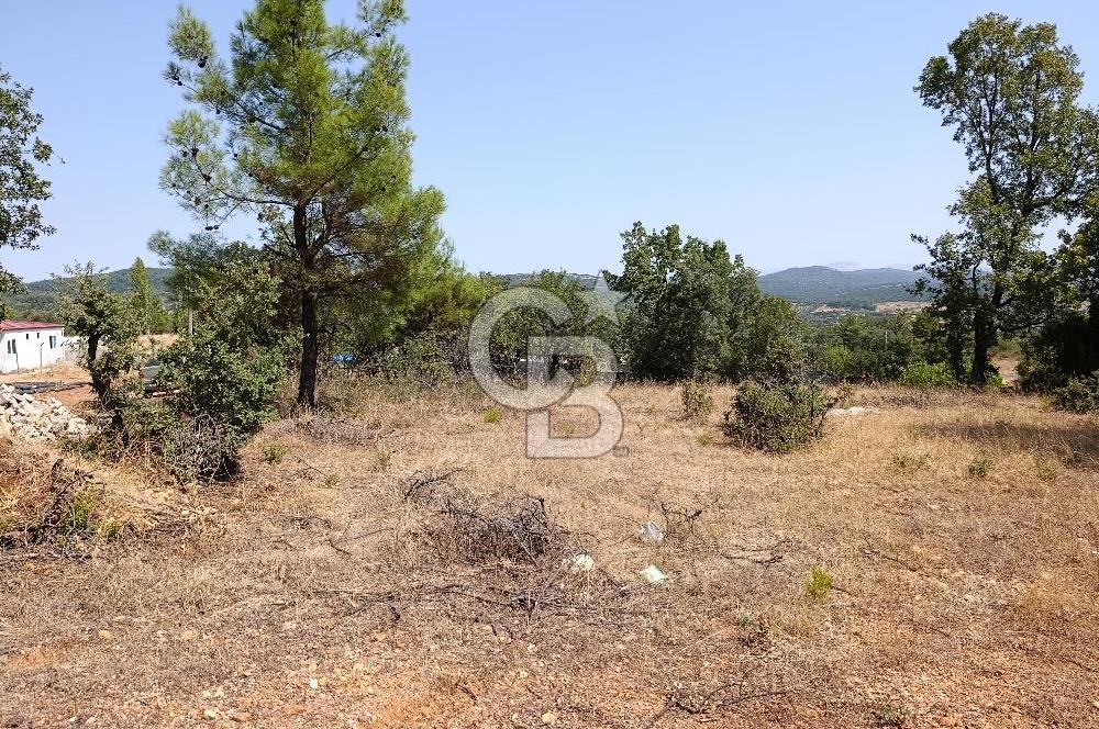 Muğla Yerkesik’te Yatırımlık 515m² Satılık Parsel 