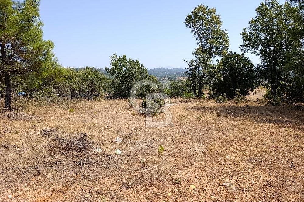 Muğla Yerkesik’te Yatırımlık 515m² Satılık Parsel 