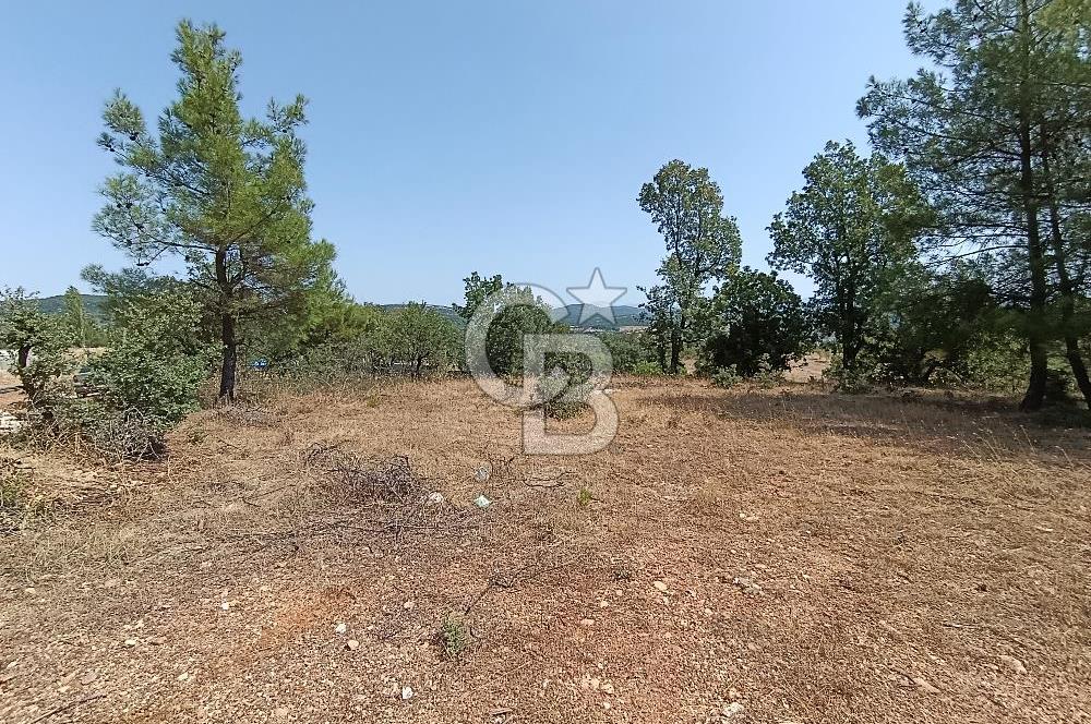 Muğla Yerkesik’te Yatırımlık 515m² Satılık Parsel 