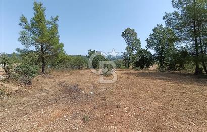 Muğla Yerkesik’te Yatırımlık 515m² Satılık Parsel 