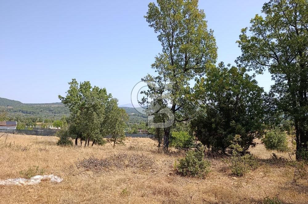Muğla Yerkesik’te Yatırımlık 515m² Satılık Parsel 