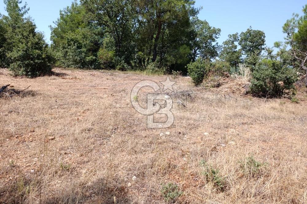 Muğla Yerkesik’te Yatırımlık 515m² Satılık Parsel 