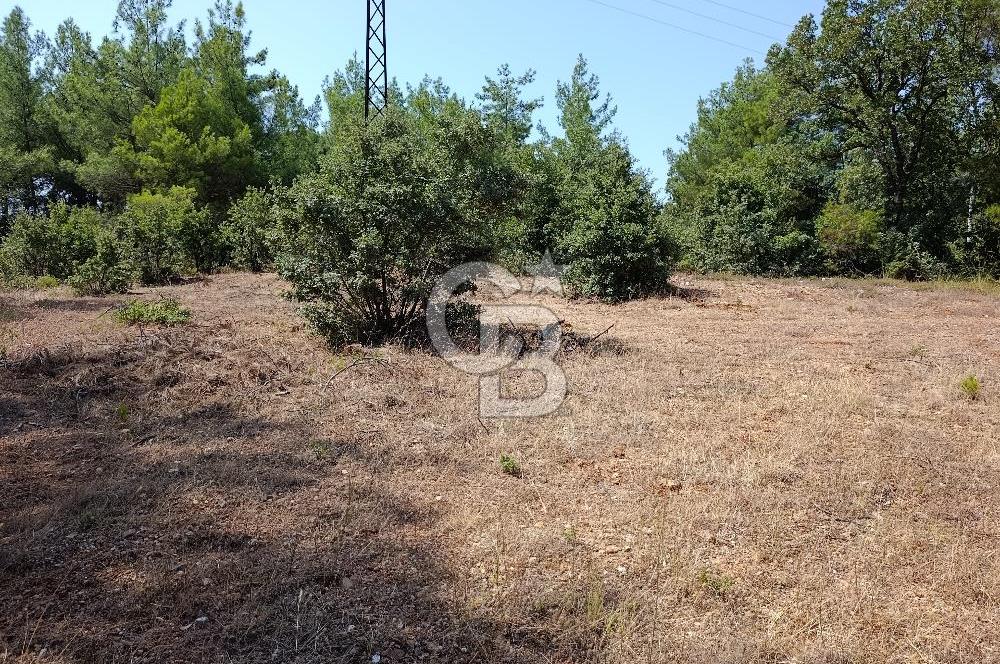 Muğla Yerkesik’te Yatırımlık 515m² Satılık Parsel 