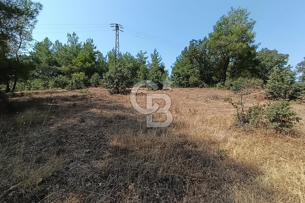 Muğla Yerkesik’te Yatırımlık 515m² Satılık Parsel 