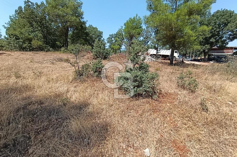 Muğla Yerkesik’te Yatırımlık 515m² Satılık Parsel 