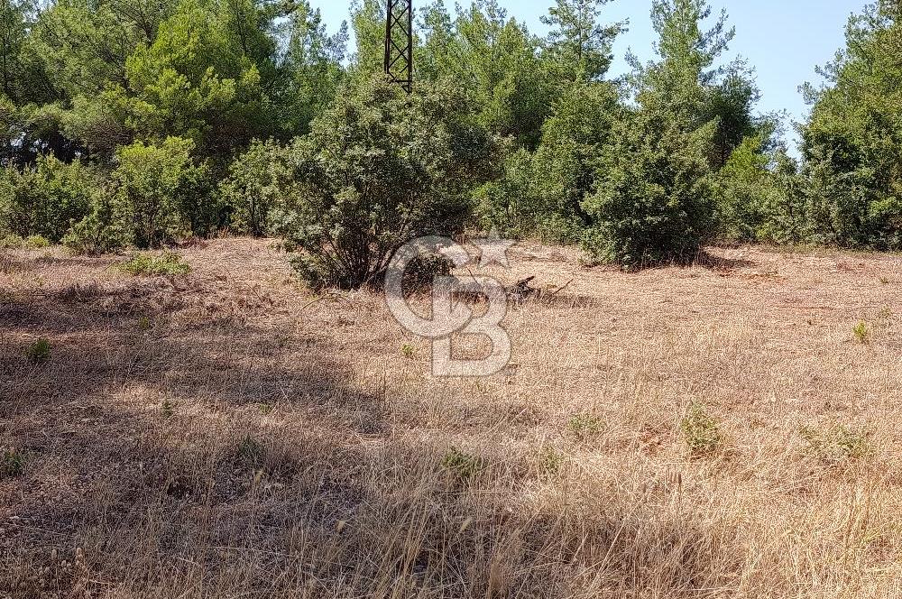 Muğla Yerkesik’te Yatırımlık 515m² Satılık Parsel 