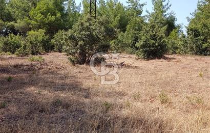 Muğla Yerkesik’te Yatırımlık 515m² Satılık Parsel 