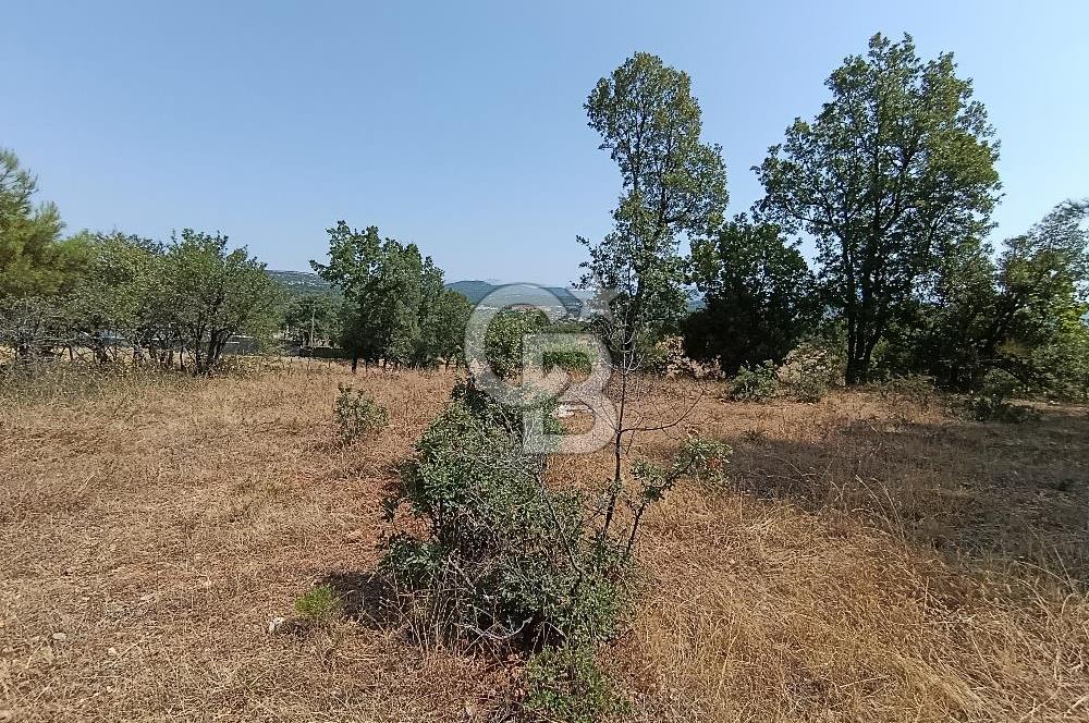 Muğla Yerkesik’te Yatırımlık 515m² Satılık Parsel 