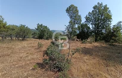 Muğla Yerkesik’te Yatırımlık 515m² Satılık Parsel 