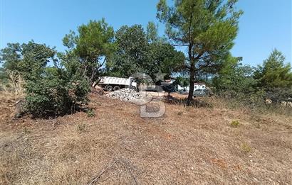 Muğla Yerkesik’te Yatırımlık 515m² Satılık Parsel 