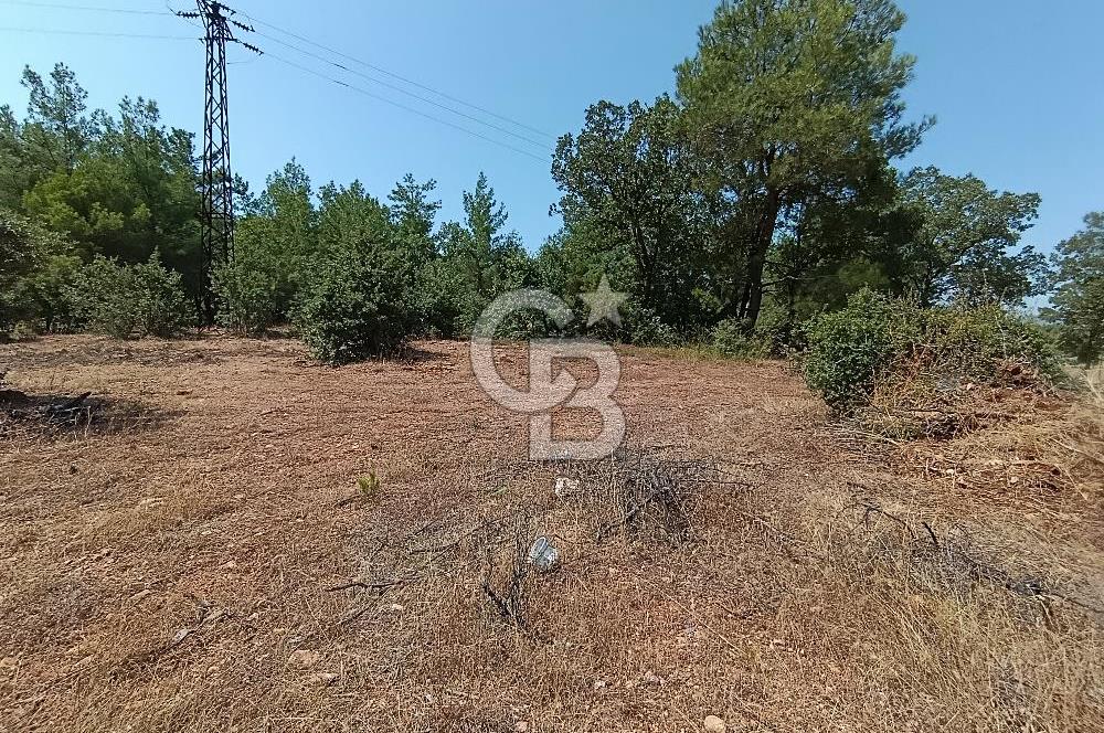 Muğla Yerkesik’te Yatırımlık 515m² Satılık Parsel 