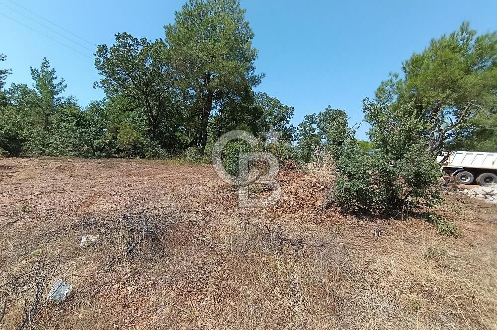 Muğla Yerkesik’te Yatırımlık 515m² Satılık Parsel 