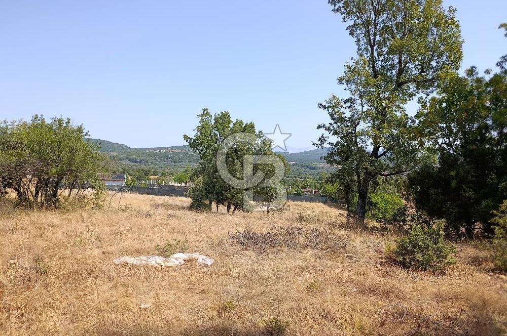 Muğla Yerkesik’te Yatırımlık 515m² Satılık Parsel 
