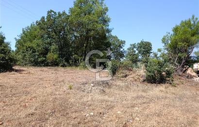 Muğla Yerkesik’te Yatırımlık 515m² Satılık Parsel 