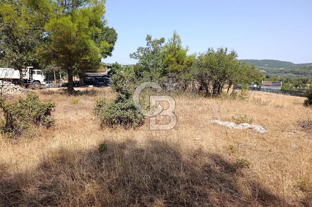 Muğla Yerkesik’te Yatırımlık 515m² Satılık Parsel 