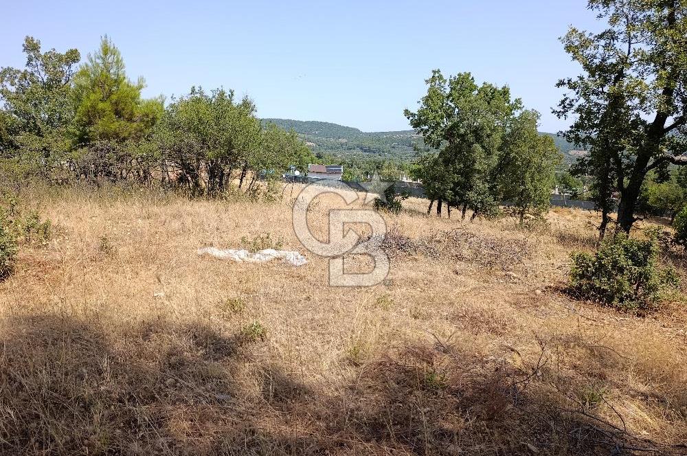 Muğla Yerkesik’te Yatırımlık 515m² Satılık Parsel 