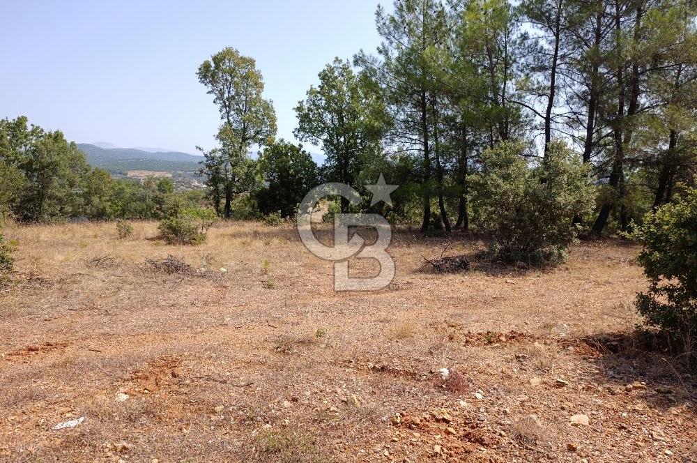 Muğla Yerkesik’te Yatırımlık 515m² Satılık Parsel 