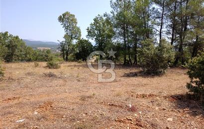 Muğla Yerkesik’te Yatırımlık 515m² Satılık Parsel 