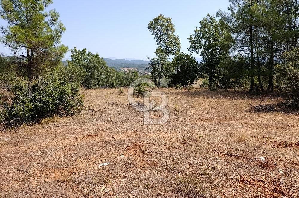 Muğla Yerkesik’te Yatırımlık 515m² Satılık Parsel 