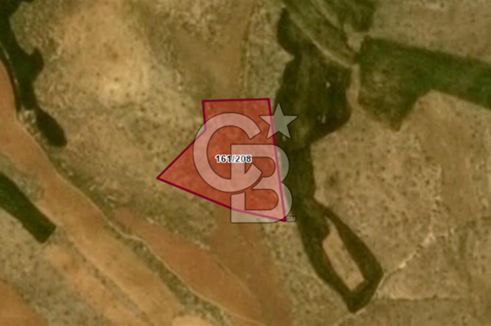 Gaziantep Geneyik'te Yeni İmar Bölgesinde Satılık Tarla