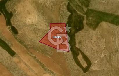 Gaziantep Geneyik'te Yeni İmar Bölgesinde Satılık Tarla