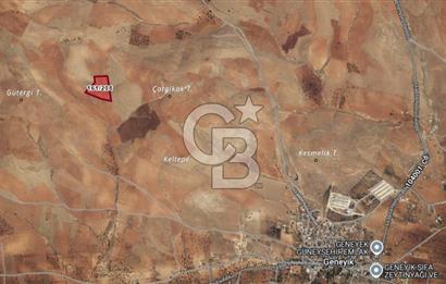 Gaziantep Geneyik'te Yeni İmar Bölgesinde Satılık Tarla