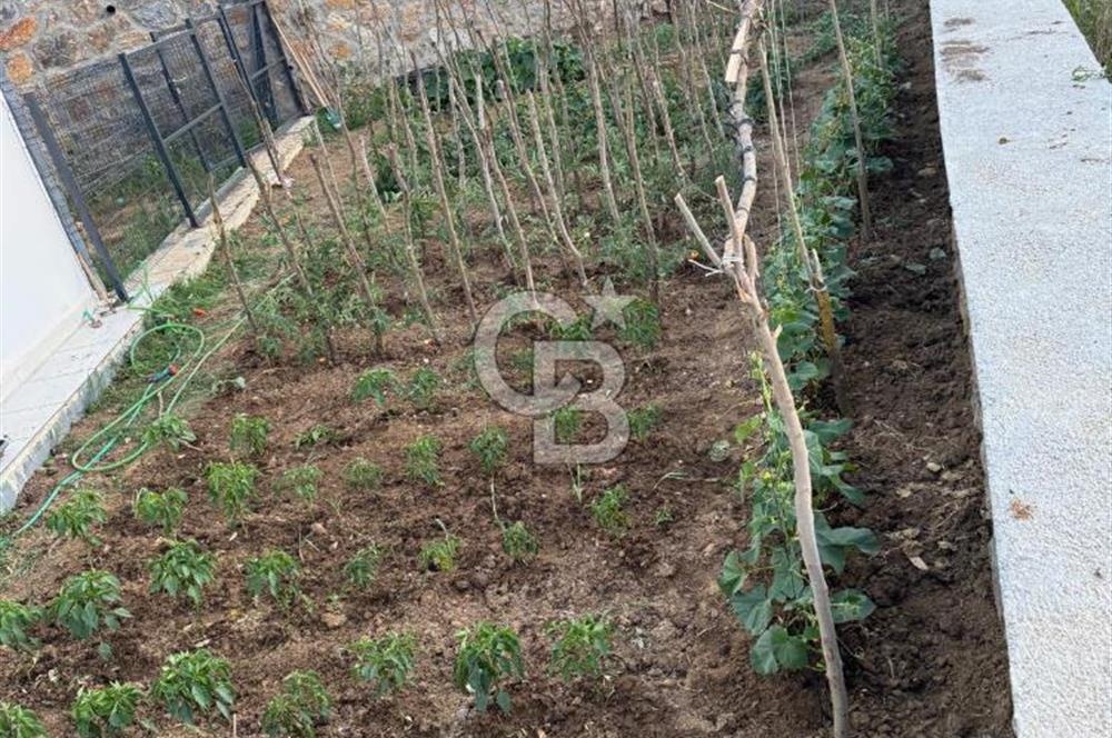 KOCAELİ KÖRFEZ DE 635 M2 ARSA İÇERİSİNDE 3+1 SATILIK MÜSTAKİL EV