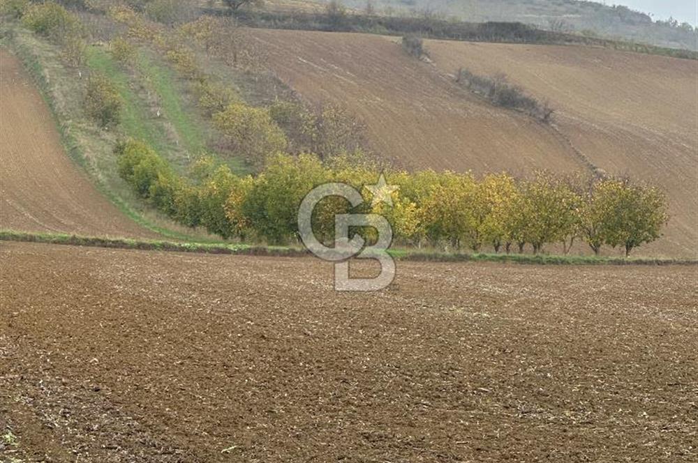 Tekirdağ Süleymanpaşa Otmanlı’da 4.726m2 Satılık Tarla