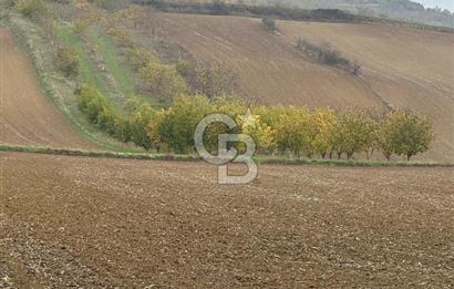 Tekirdağ Süleymanpaşa Otmanlı’da 4.726m2 Satılık Tarla