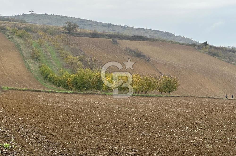 Tekirdağ Süleymanpaşa Otmanlı’da 4.726m2 Satılık Tarla