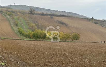 Tekirdağ Süleymanpaşa Otmanlı’da 4.726m2 Satılık Tarla
