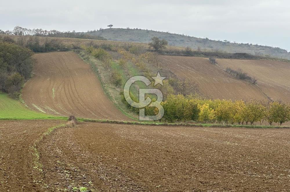 Tekirdağ Süleymanpaşa Otmanlı’da 4.726m2 Satılık Tarla