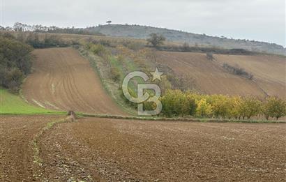 Tekirdağ Süleymanpaşa Otmanlı’da 4.726m2 Satılık Tarla