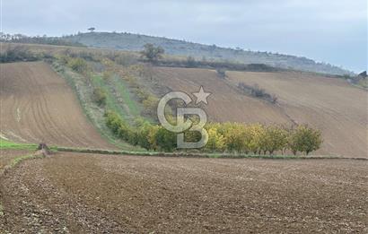 Tekirdağ Süleymanpaşa Otmanlı’da 4.726m2 Satılık Tarla