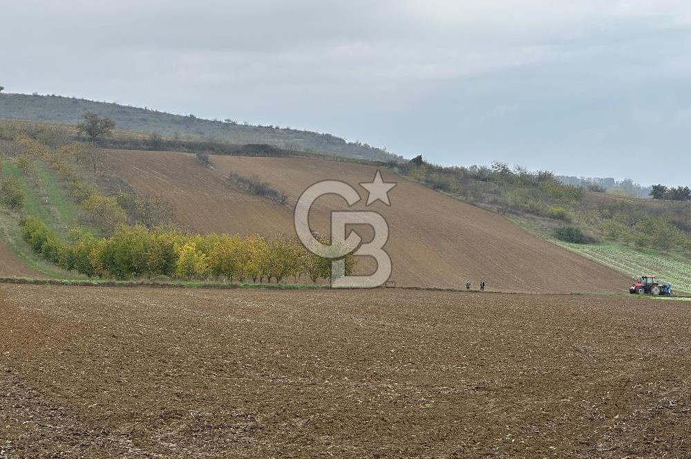 Tekirdağ Süleymanpaşa Otmanlı’da 4.726m2 Satılık Tarla