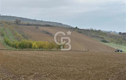 Tekirdağ Süleymanpaşa Otmanlı’da 4.726m2 Satılık Tarla