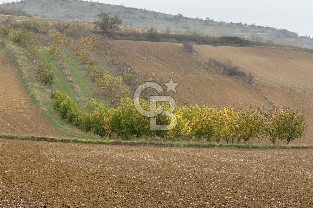 Tekirdağ Süleymanpaşa Otmanlı’da 4.726m2 Satılık Tarla