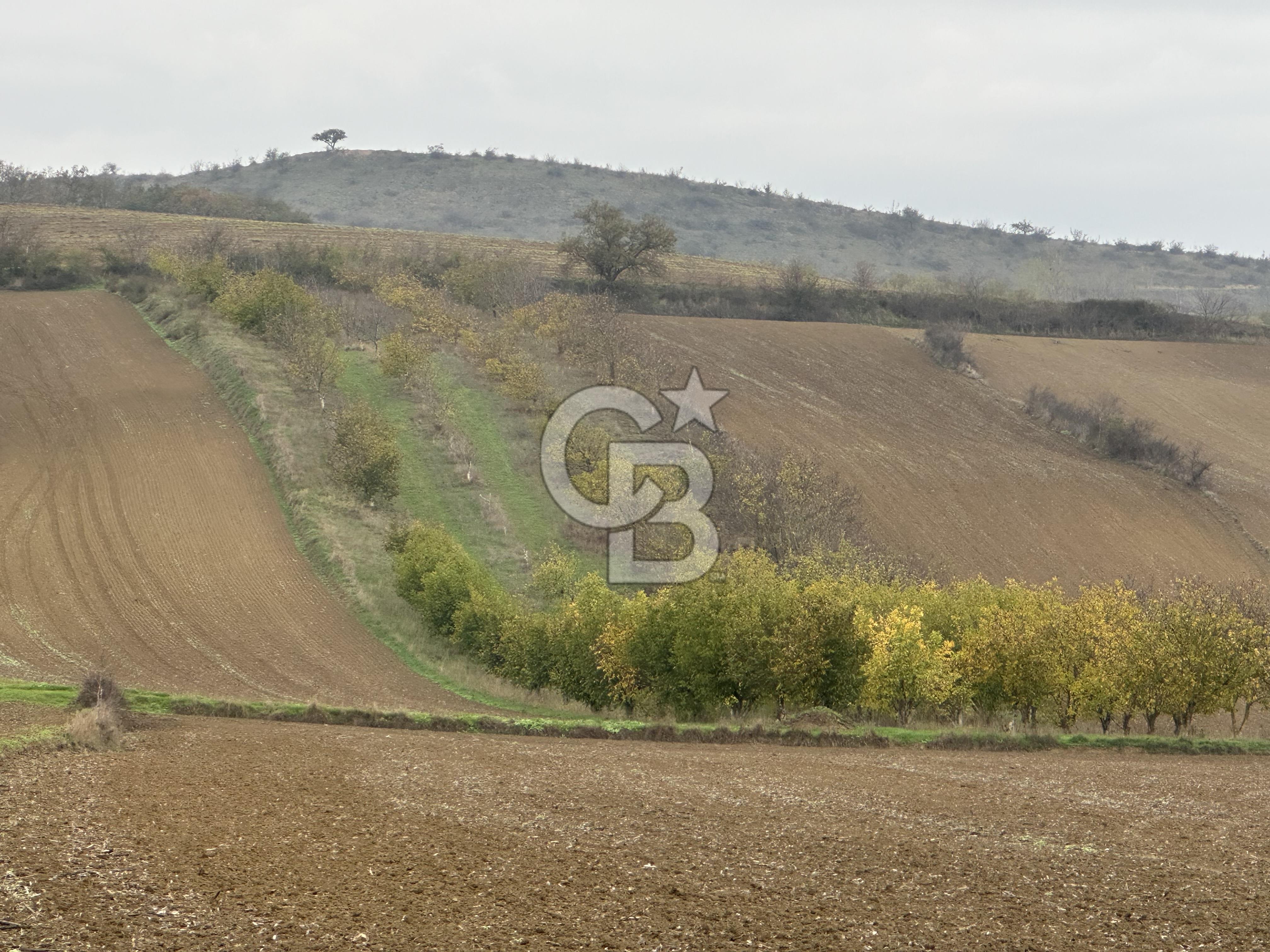 Tekirdağ Süleymanpaşa Otmanlı’da 4.726m2 Satılık Tarla