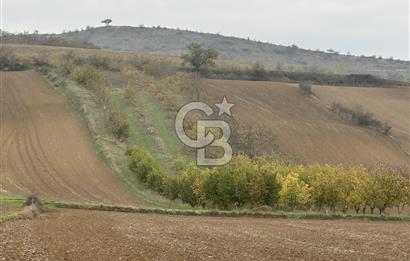 Tekirdağ Süleymanpaşa Otmanlı’da 4.726m2 Satılık Tarla